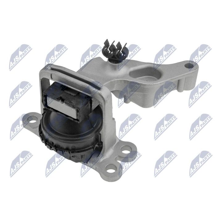 Variklio montavimas NTY ZPS-RE-120