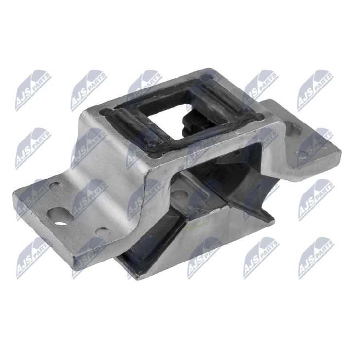 Variklio montavimas NTY ZPS-RE-125