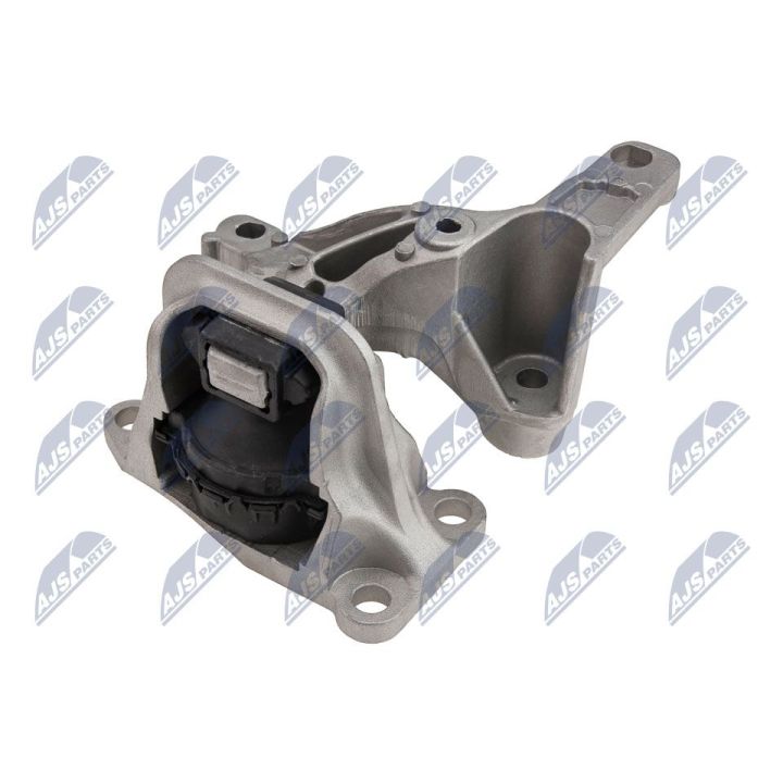 Variklio montavimas NTY ZPS-RE-138