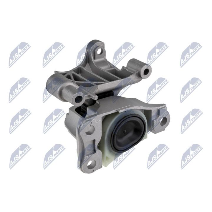 Variklio montavimas NTY ZPS-RE-164