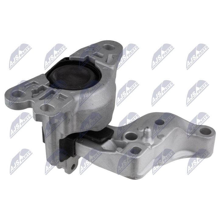 Variklio montavimas NTY ZPS-RE-170