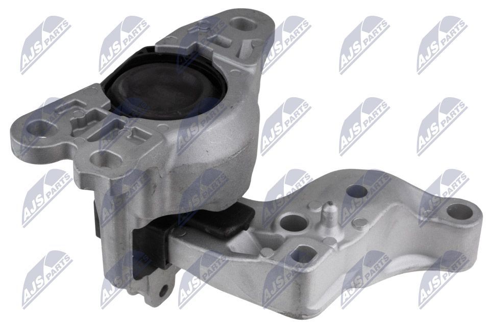 Variklio montavimas NTY ZPS-RE-170