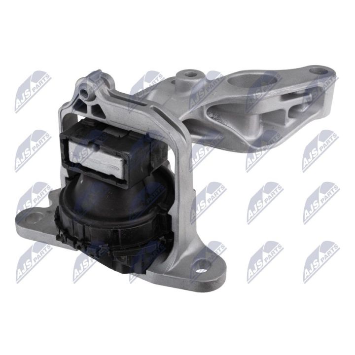 Variklio montavimas NTY ZPS-RE-170