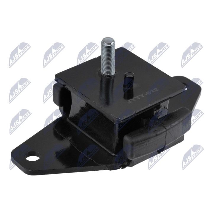 Variklio montavimas NTY ZPS-TY-012