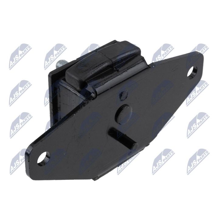 Variklio montavimas NTY ZPS-TY-012