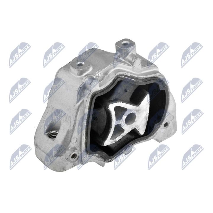 Variklio montavimas NTY ZPS-VV-003