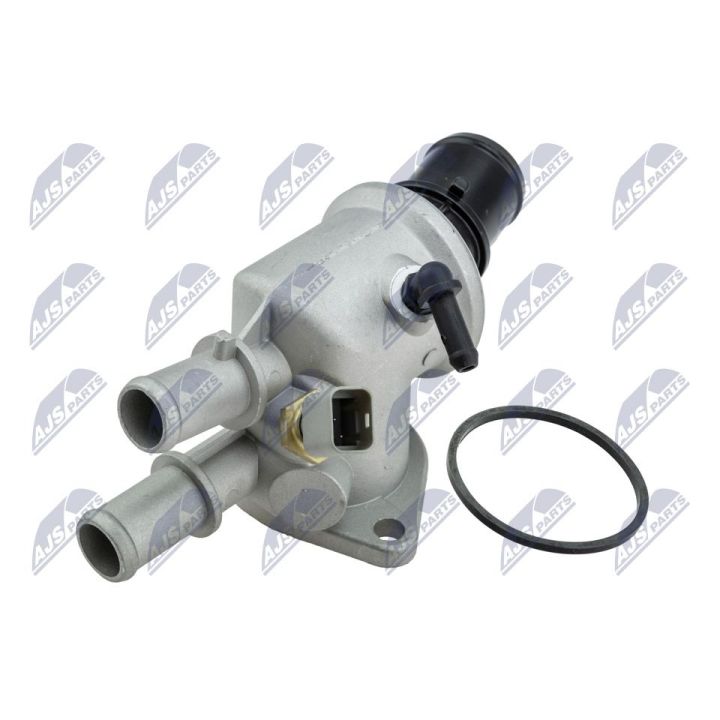 Termostatas, aušinimo skystis NTY CTM-AR-003