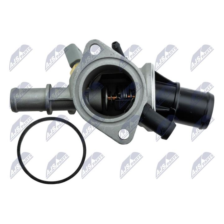 Termostatas, aušinimo skystis NTY CTM-AR-003