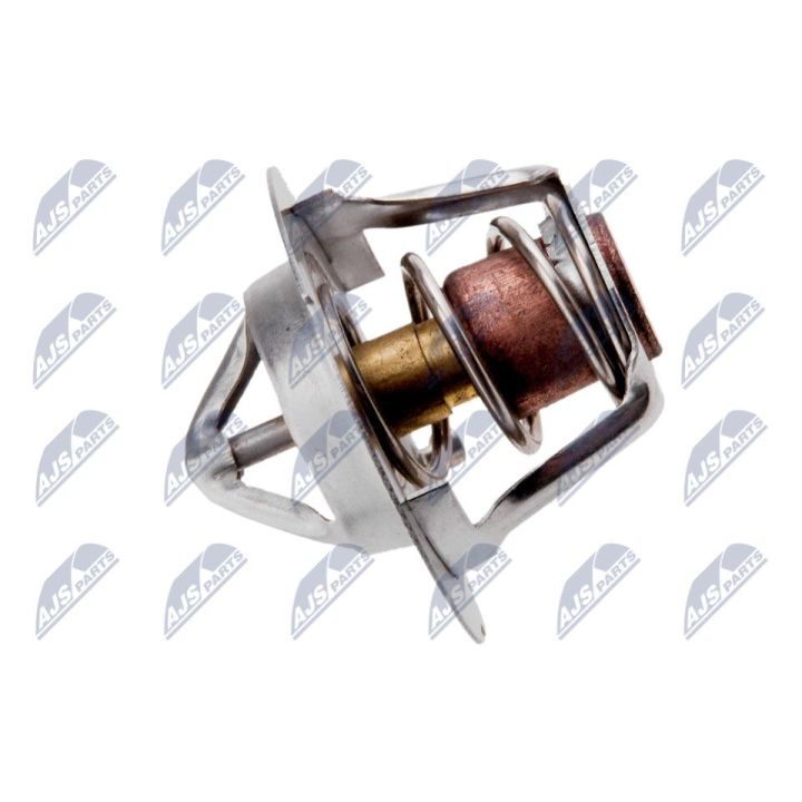 Termostatas, aušinimo skystis NTY CTM-CH-001