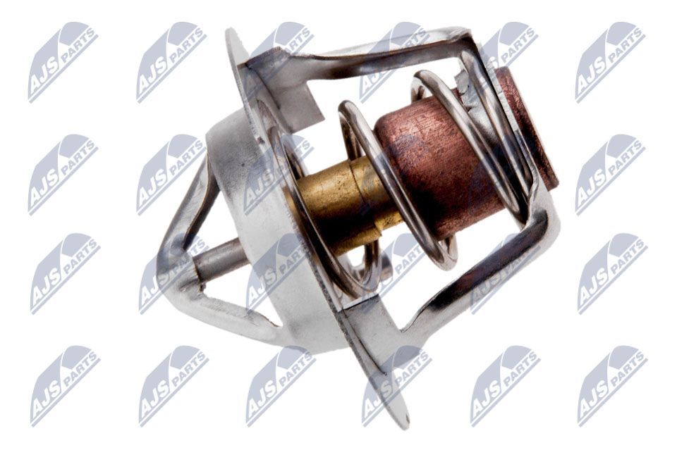 Termostatas, aušinimo skystis NTY CTM-CH-001