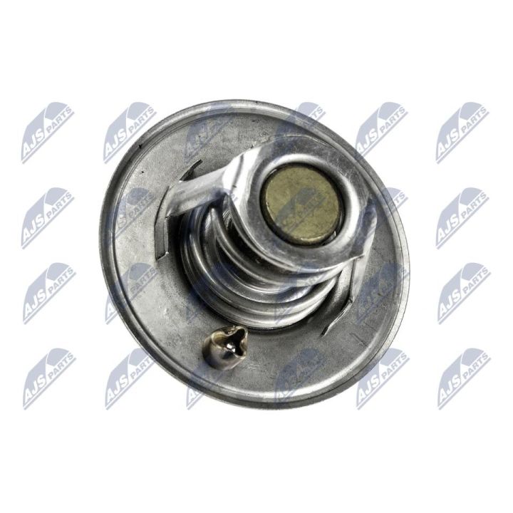 Termostatas, aušinimo skystis NTY CTM-CH-002