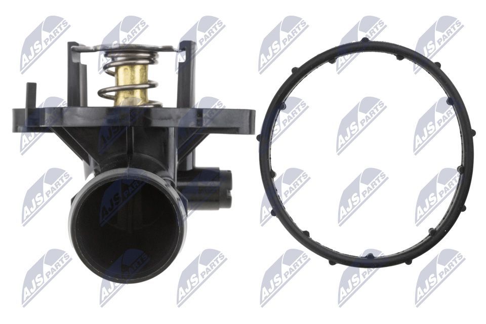 Termostatas, aušinimo skystis NTY CTM-CH-013