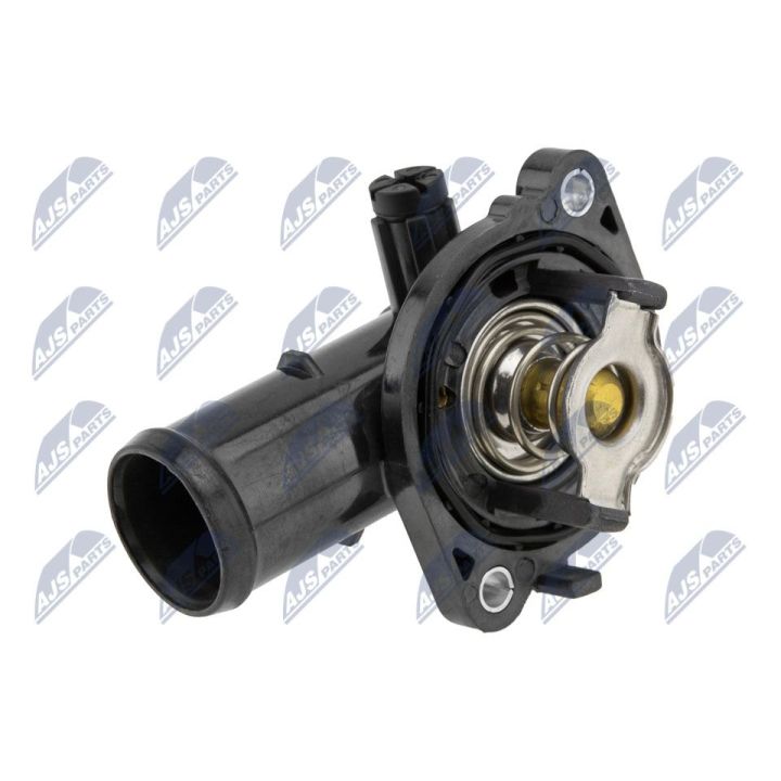 Termostatas, aušinimo skystis NTY CTM-CH-014