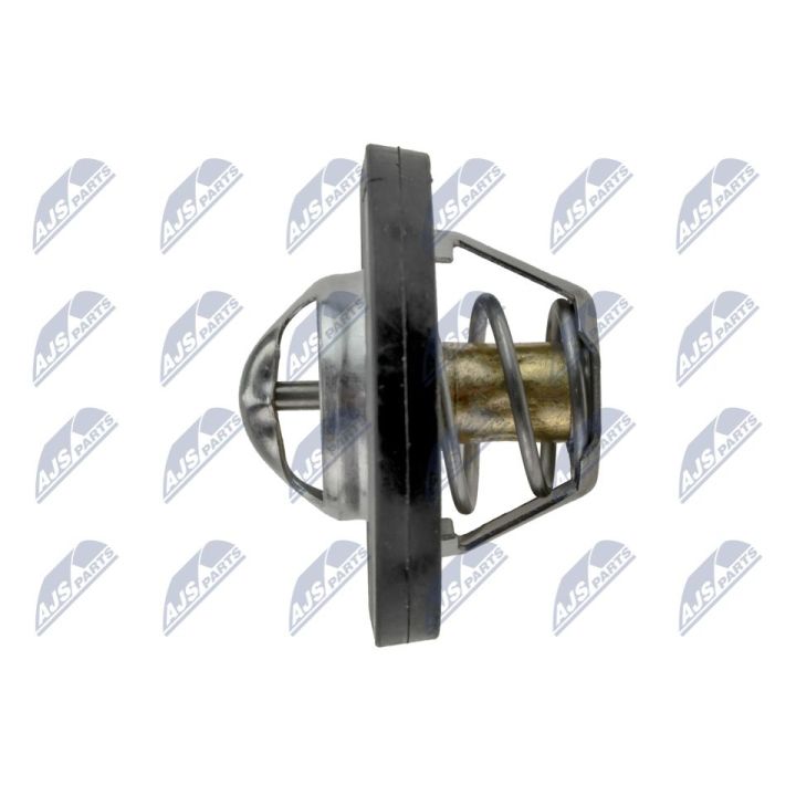 Termostatas, aušinimo skystis NTY CTM-CH-032