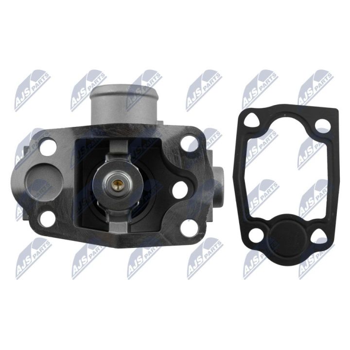 Termostatas, aušinimo skystis NTY CTM-CT-007