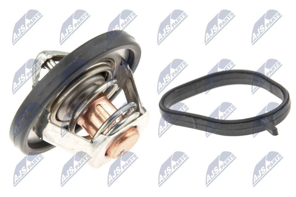 Termostatas, aušinimo skystis NTY CTM-FR-011