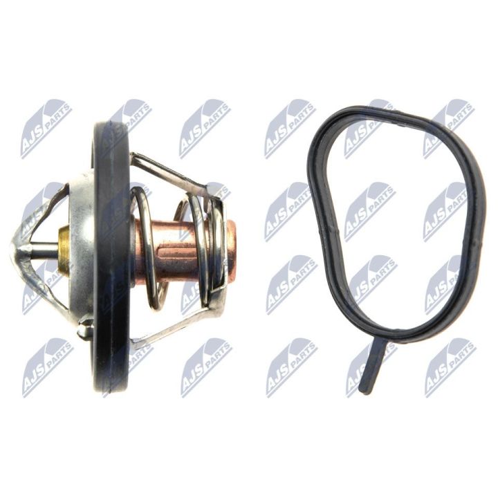 Termostatas, aušinimo skystis NTY CTM-FR-011