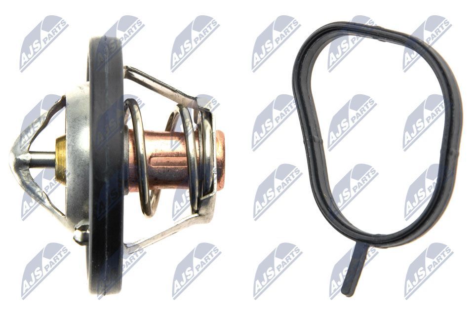 Termostatas, aušinimo skystis NTY CTM-FR-011