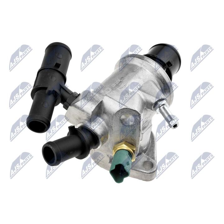 Termostatas, aušinimo skystis NTY CTM-FT-002