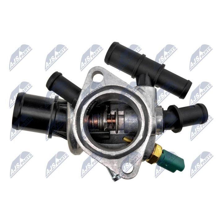 Termostatas, aušinimo skystis NTY CTM-FT-002