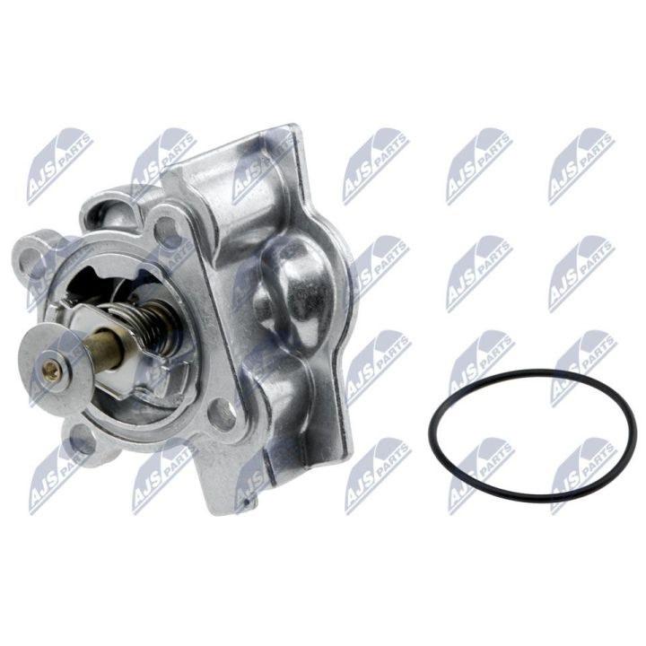 Termostatas, aušinimo skystis NTY CTM-FT-005