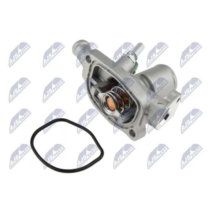 Termostatas, aušinimo skystis NTY CTM-FT-006