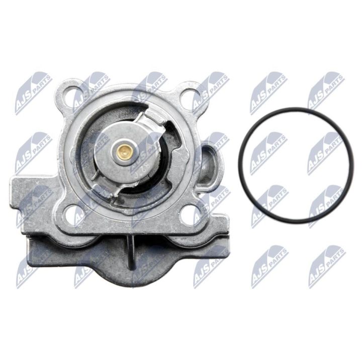 Termostatas, aušinimo skystis NTY CTM-FT-007