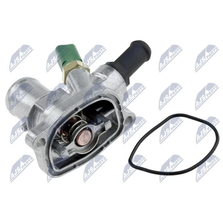 Termostatas, aušinimo skystis NTY CTM-FT-009