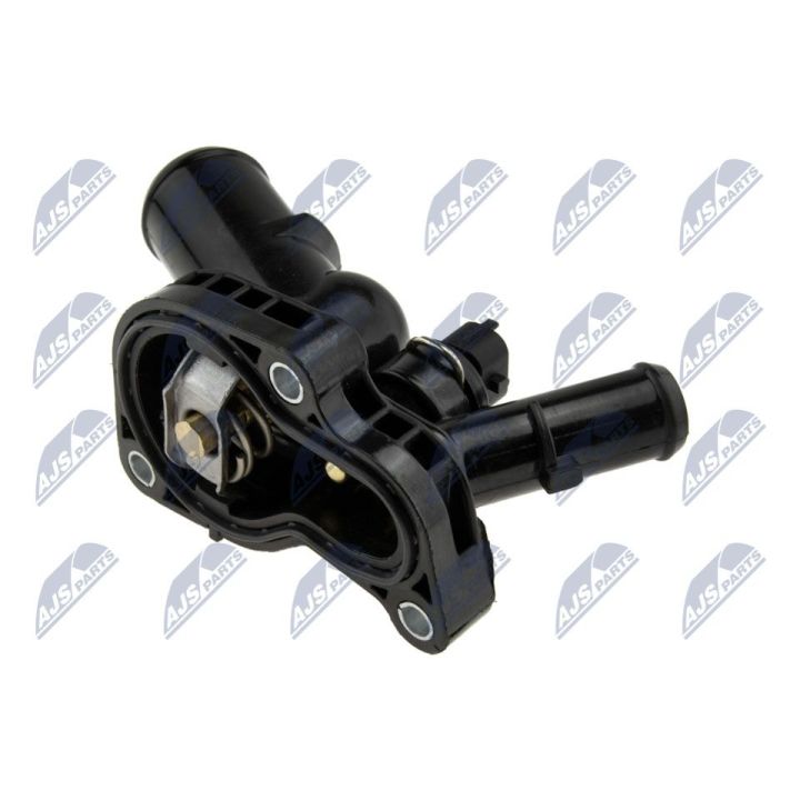 Termostatas, aušinimo skystis NTY CTM-FT-011