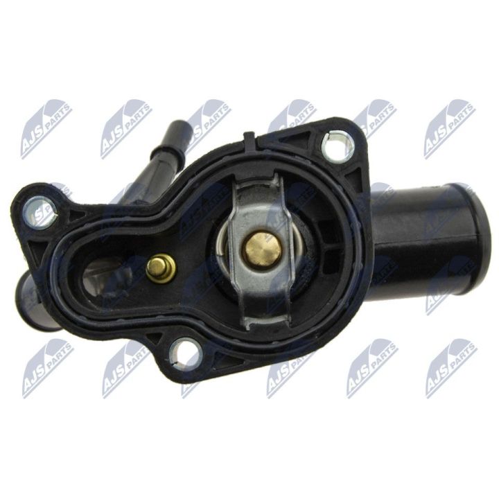 Termostatas, aušinimo skystis NTY CTM-FT-011