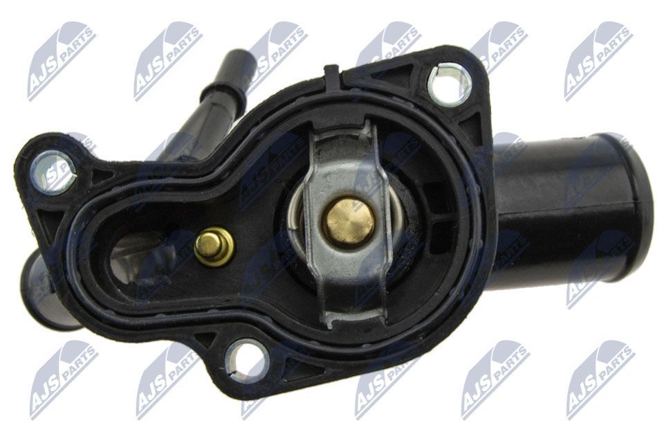 Termostatas, aušinimo skystis NTY CTM-FT-011