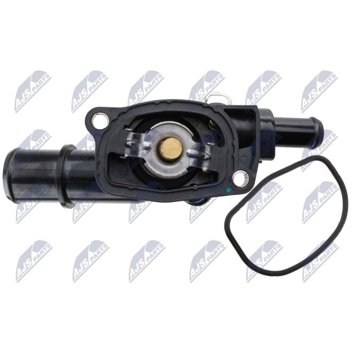 Termostatas, aušinimo skystis NTY CTM-FT-012