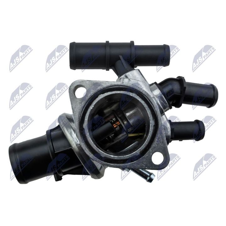 Termostatas, aušinimo skystis NTY CTM-FT-015