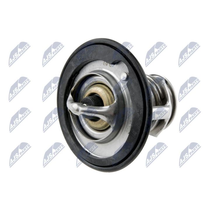 Termostatas, aušinimo skystis NTY CTM-HD-001