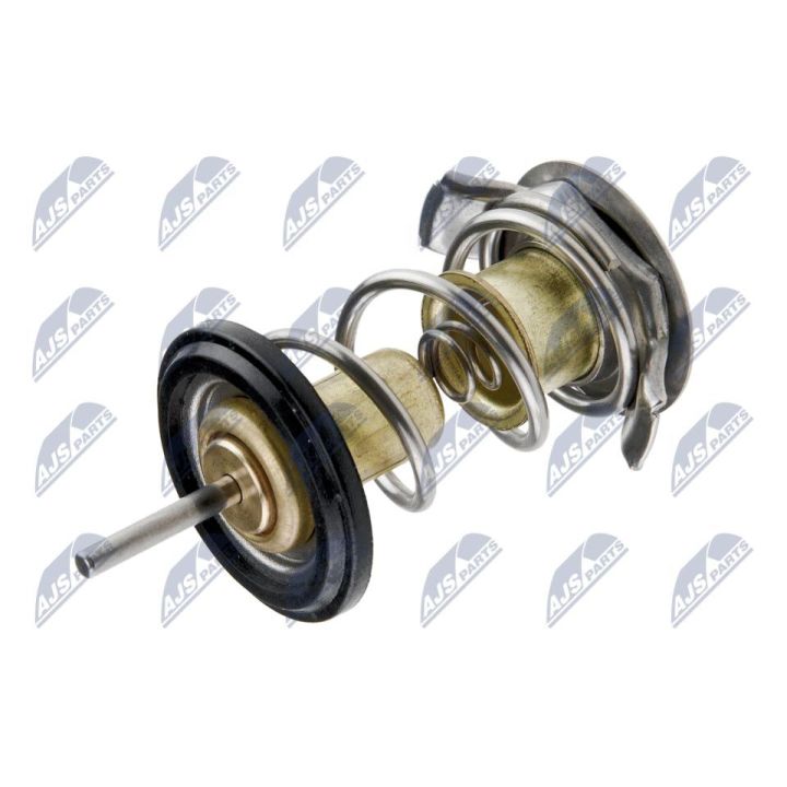 Termostatas, aušinimo skystis NTY CTM-LR-000