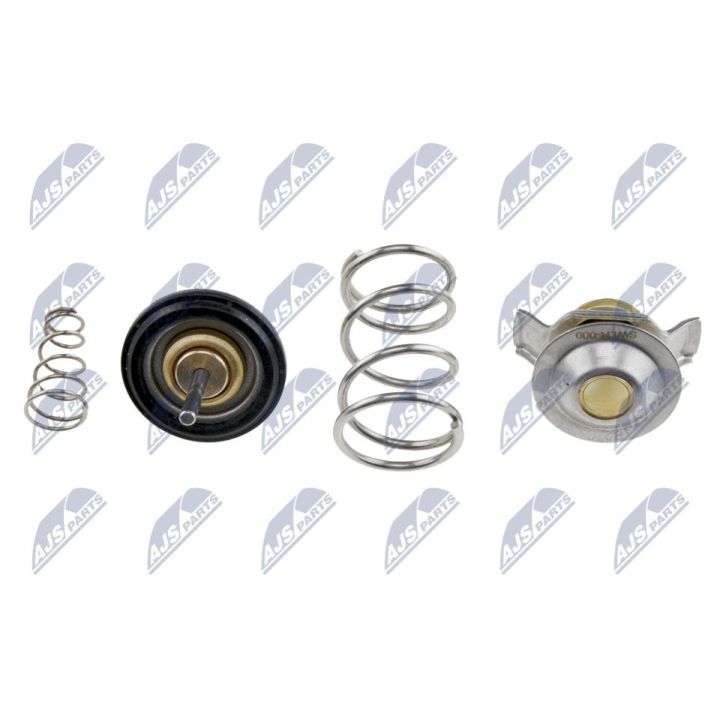 Termostatas, aušinimo skystis NTY CTM-LR-000