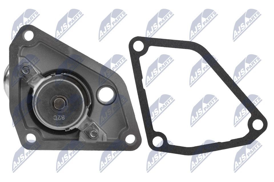 Termostatas, aušinimo skystis NTY CTM-NS-001