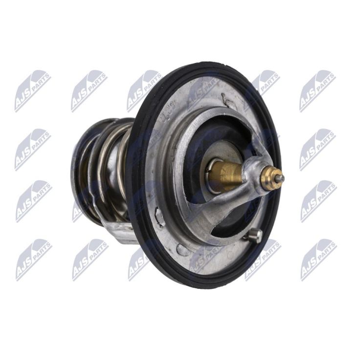 Termostatas, aušinimo skystis NTY CTM-NS-003