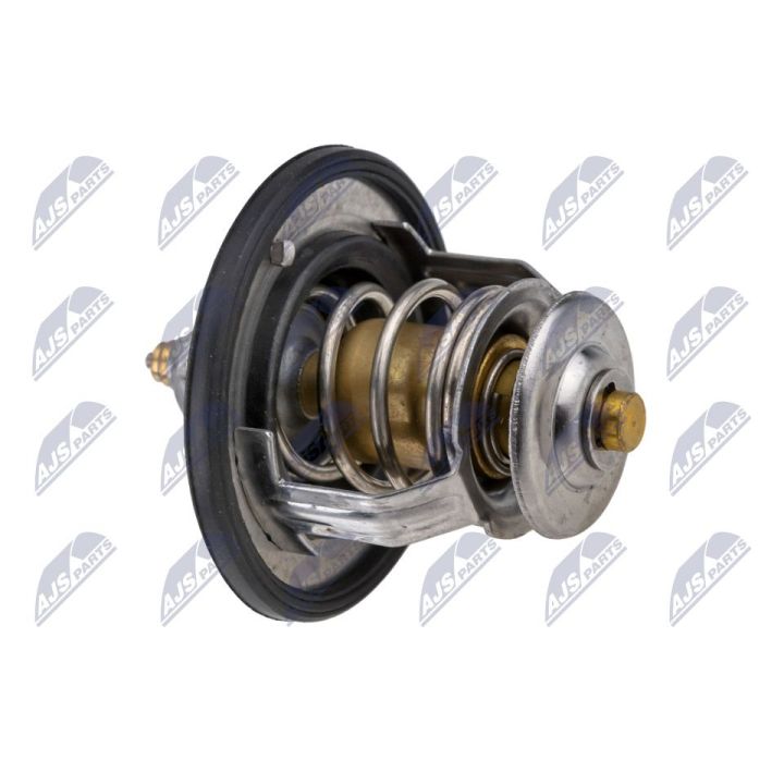 Termostatas, aušinimo skystis NTY CTM-NS-003