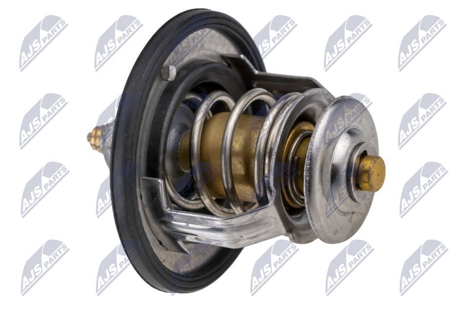 Termostatas, aušinimo skystis NTY CTM-NS-003