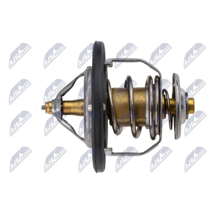 Termostatas, aušinimo skystis NTY CTM-NS-003