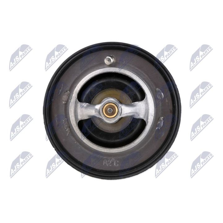 Termostatas, aušinimo skystis NTY CTM-NS-003