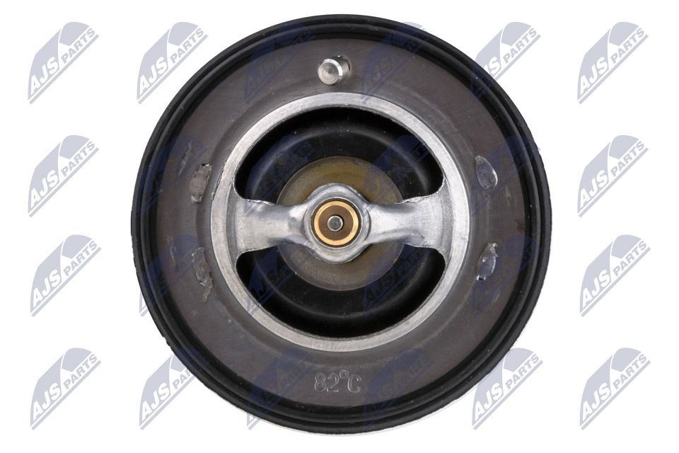 Termostatas, aušinimo skystis NTY CTM-NS-003