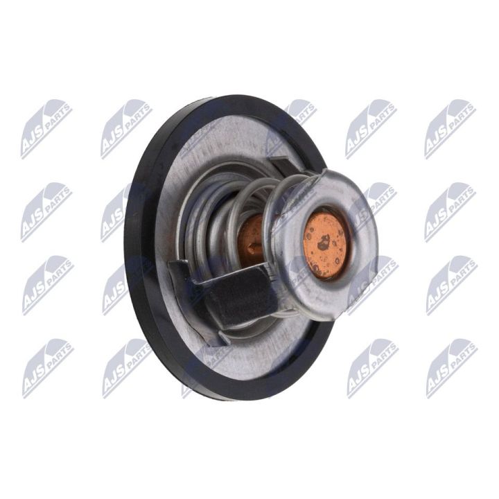 Termostatas, aušinimo skystis NTY CTM-NS-004