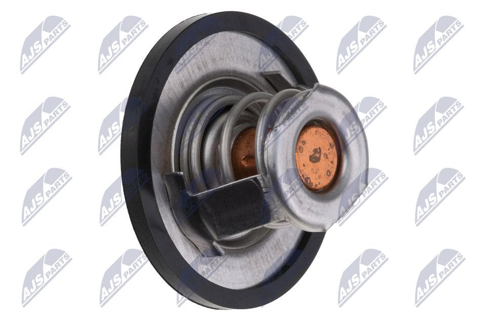 Termostatas, aušinimo skystis NTY CTM-NS-004