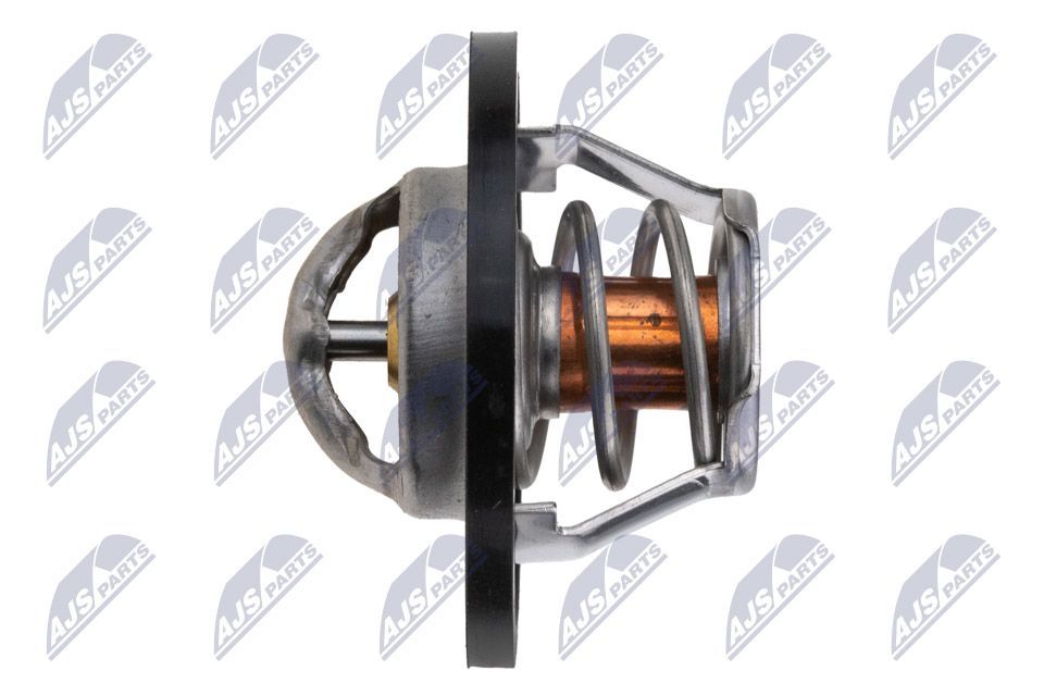 Termostatas, aušinimo skystis NTY CTM-NS-004