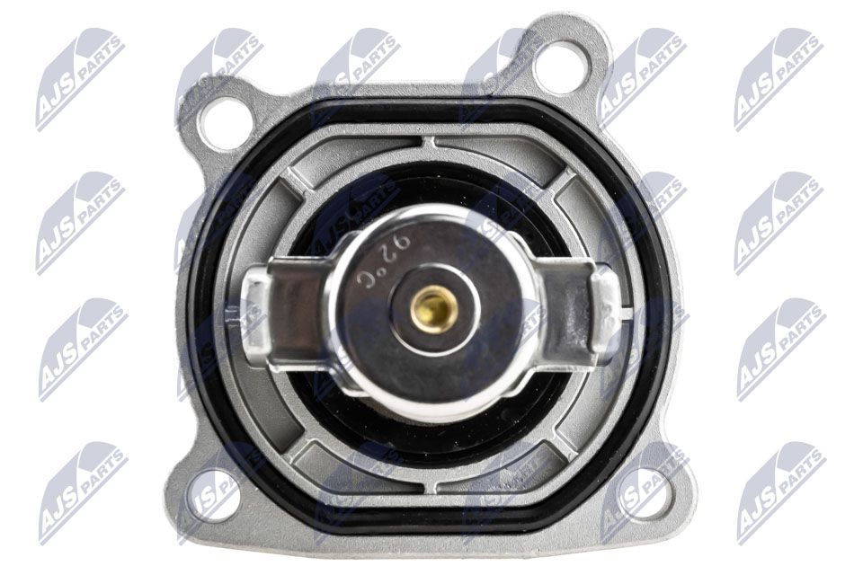 Termostatas, aušinimo skystis NTY CTM-PL-027