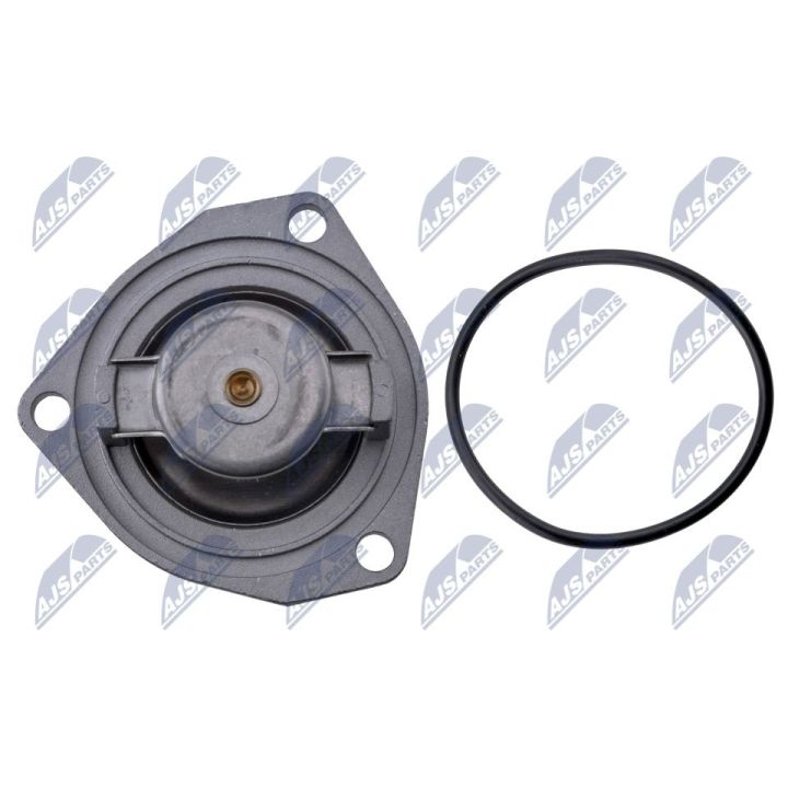 Termostatas, aušinimo skystis NTY CTM-PL-033