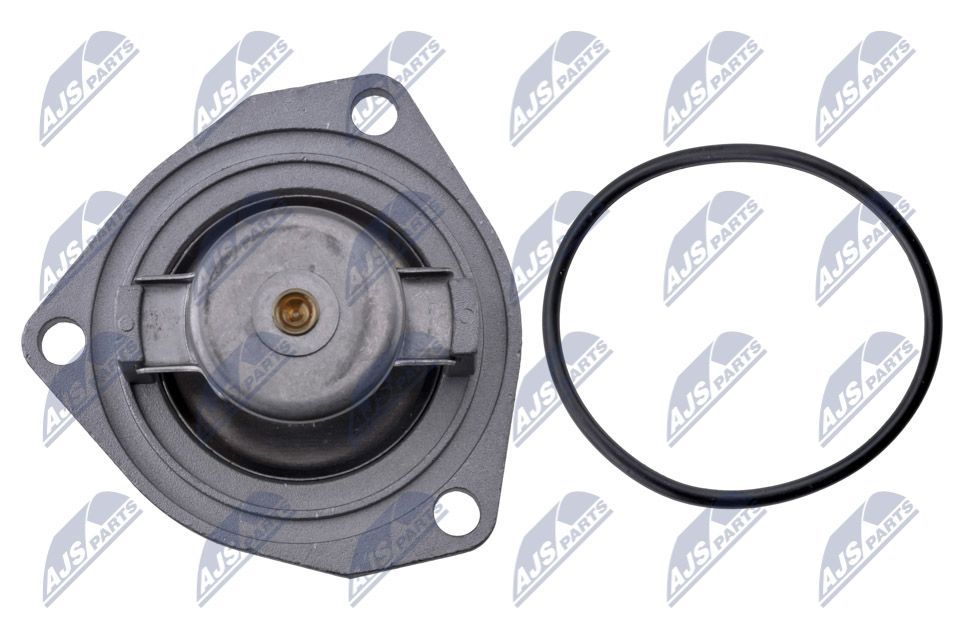 Termostatas, aušinimo skystis NTY CTM-PL-033