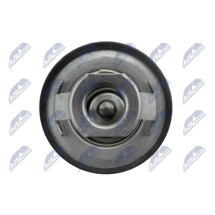 Termostatas, aušinimo skystis NTY CTM-RE-011